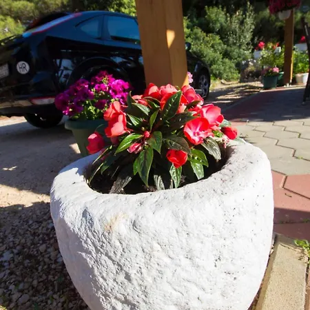 Apartment Apartmani Vesna Grebastica By Interhome Grebaštica