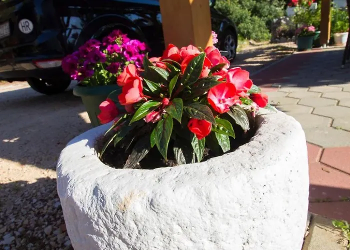 Vesna By Interhome Grebaštica