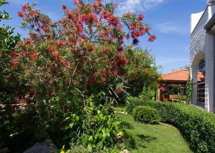 Vesna By Interhome Grebaštica